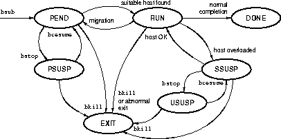 LSF Batch Job States